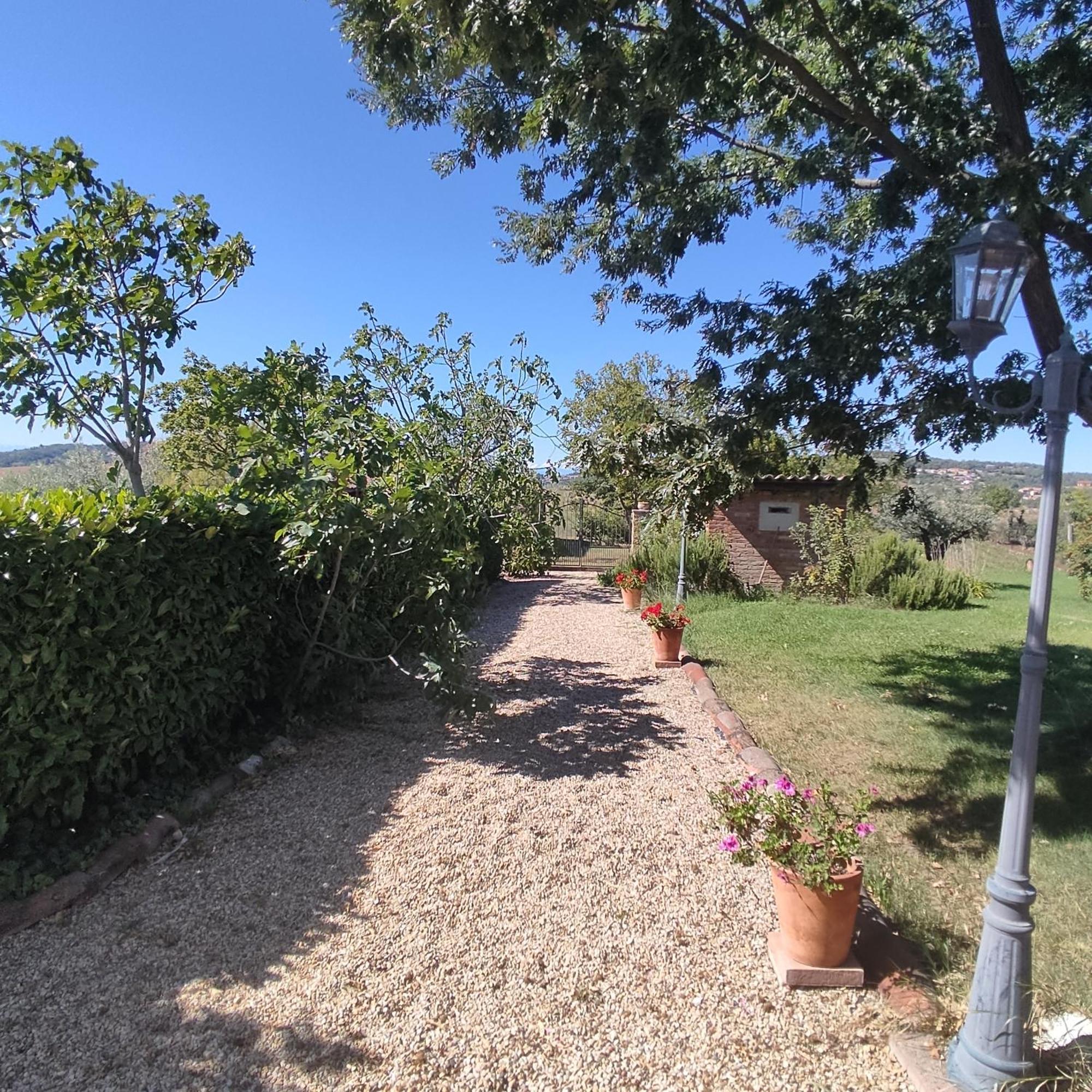Country House Montessino - Adults Only Ottiglio Extérieur photo